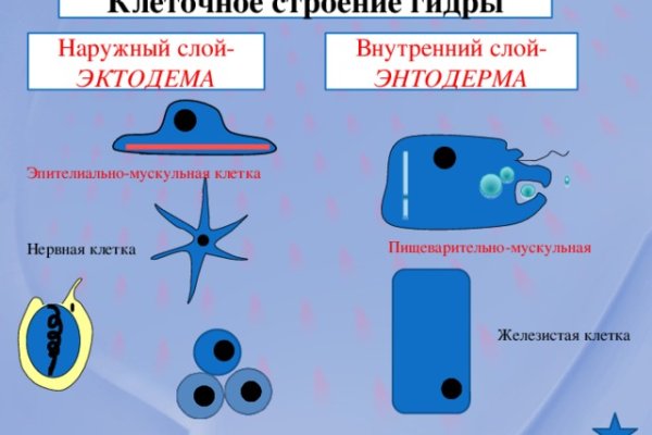 Kraken ссылка krakentor site
