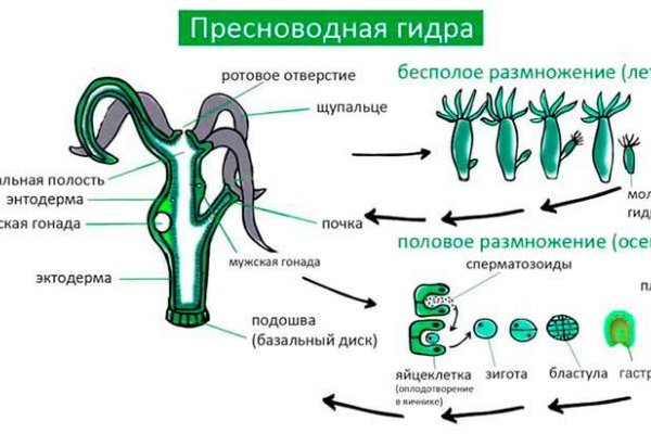 Актуальная ссылка на кракен