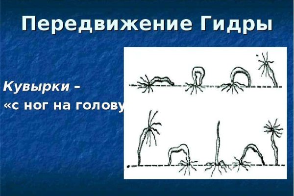 Кракен торговая