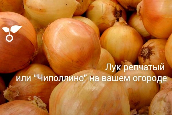 Что такое кракен маркет
