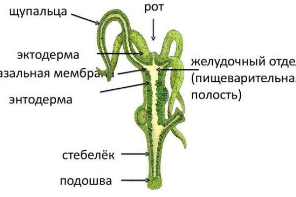 Кракен даркнет 2krnmarket