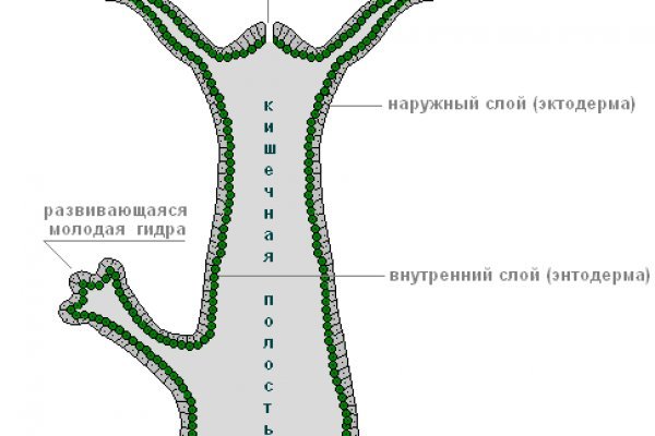 Кракен площадка vk2 top