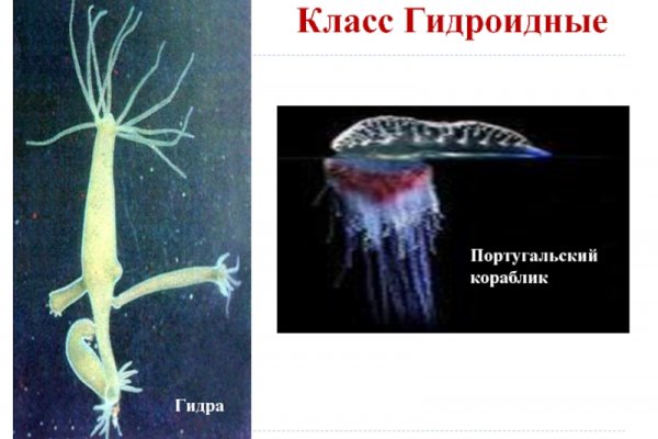 Ссылка на кракен onion kraken dark link