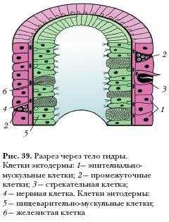 Ошибка на сервере кракен