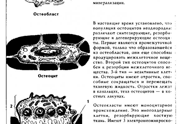 Кракен наркологический